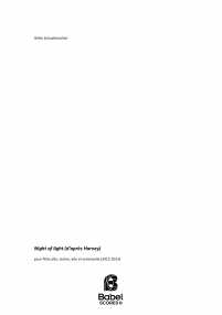 night of light schuehmacher A4 z pdf